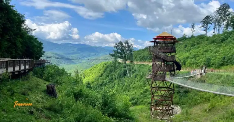 Gatlinburg SkyPark in Tennessee featuring the SkyBridge and Tulip Tower with panoramic Smoky Mountain views.