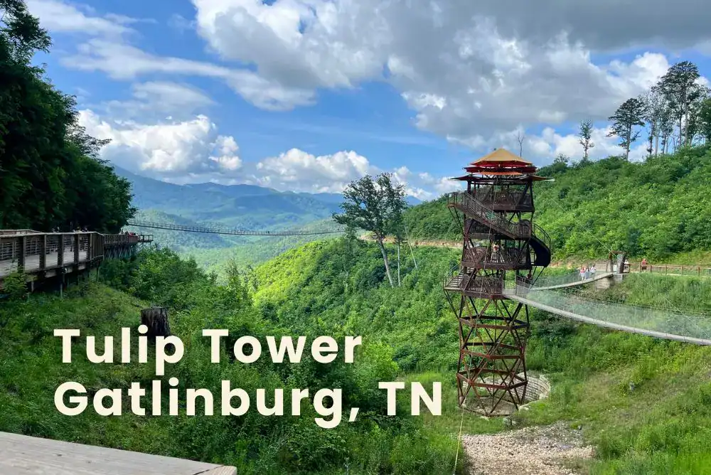 Tulip Tower at Gatlinburg SkyPark – observation tower with mountain views on the SkyTrail

