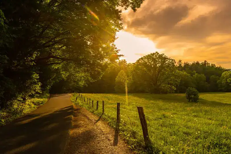 Cades Cove Loop Road at sunset—sunlight filtering behind trees in Great Smoky Mountains National Park, Tennessee.