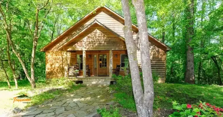 Cozy cabin at Dancing Bear Lodge in Townsend, TN