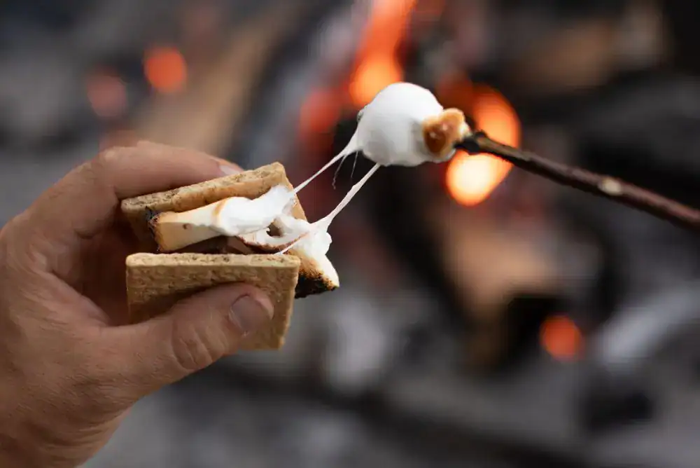 Smore's over campfire in the Smokies.