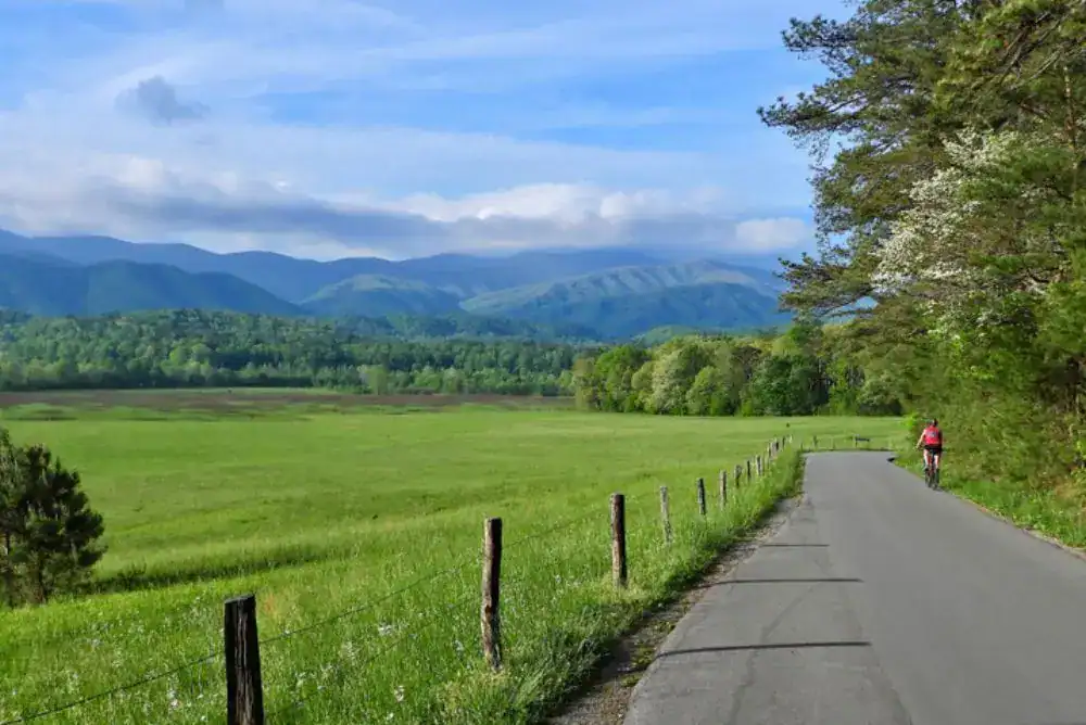 Cades Cove Loop Road in the Smoky Mountains near tent-friendly campground campsites