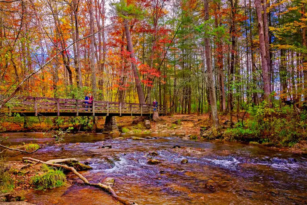 Bridge on Abrams Falls trail in the smoky mountains. 