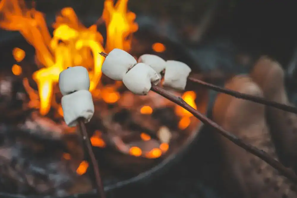 Marshmallows roasting over a campfire during a fall camping trip in the Smoky Mountains.