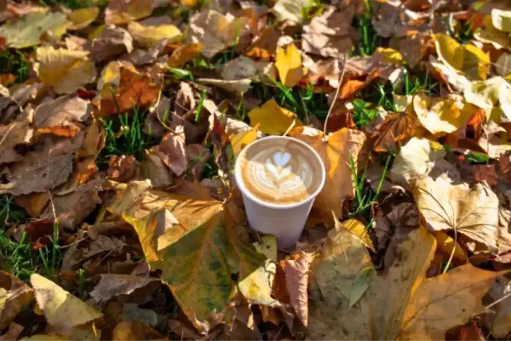 Cup of coffee surrounded by colorful fall leaves.