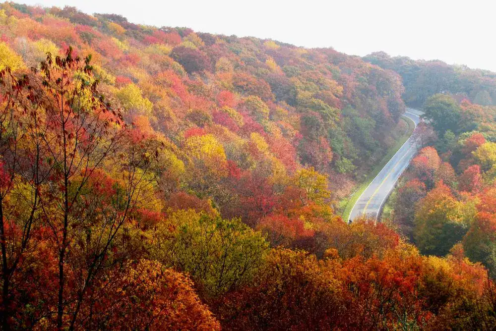 Fall foliage in Townsend with Smoky Mountains covered in brilliant autumn colors