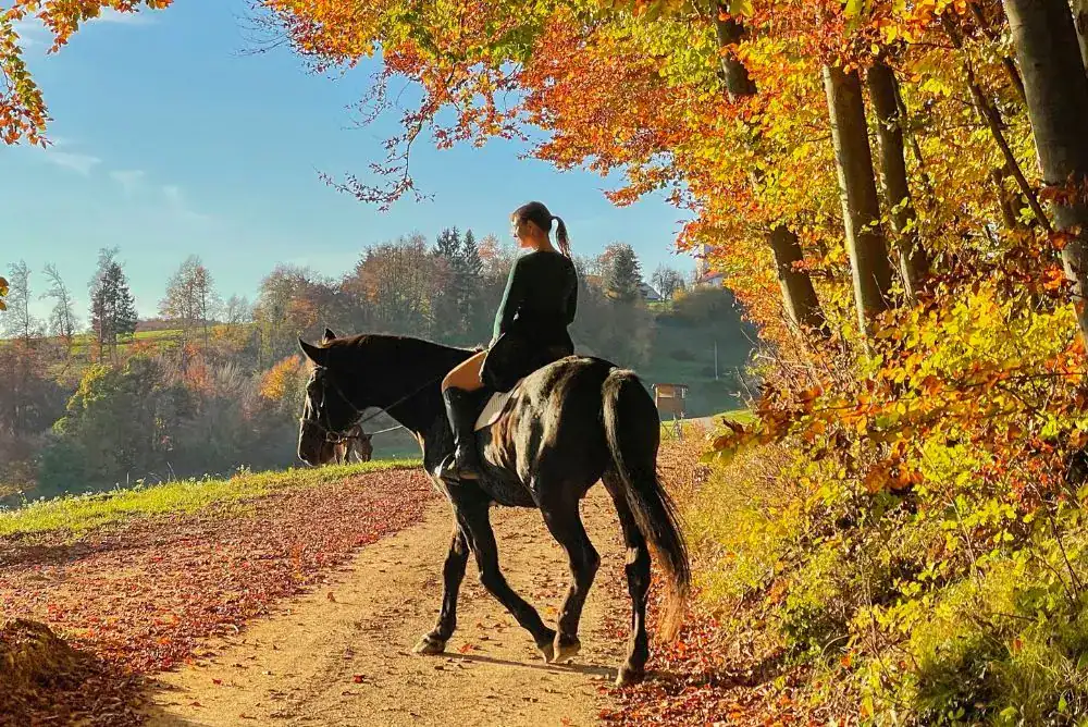 Woman horseback riding along a wooded trail surrounded by colorful fall foliage.