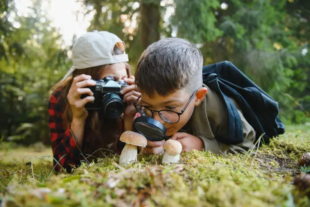 Exploring nature on family hikes in the Smokies with kids.