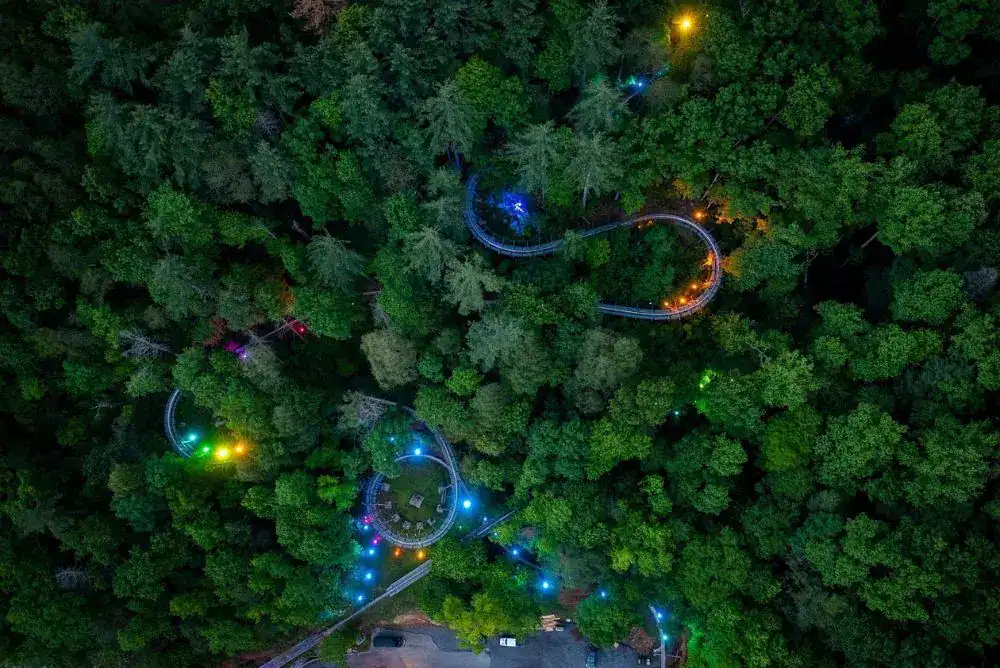 Moonshine Mountain Coaster glowing with bright lights during a nighttime ride in Gatlinburg.