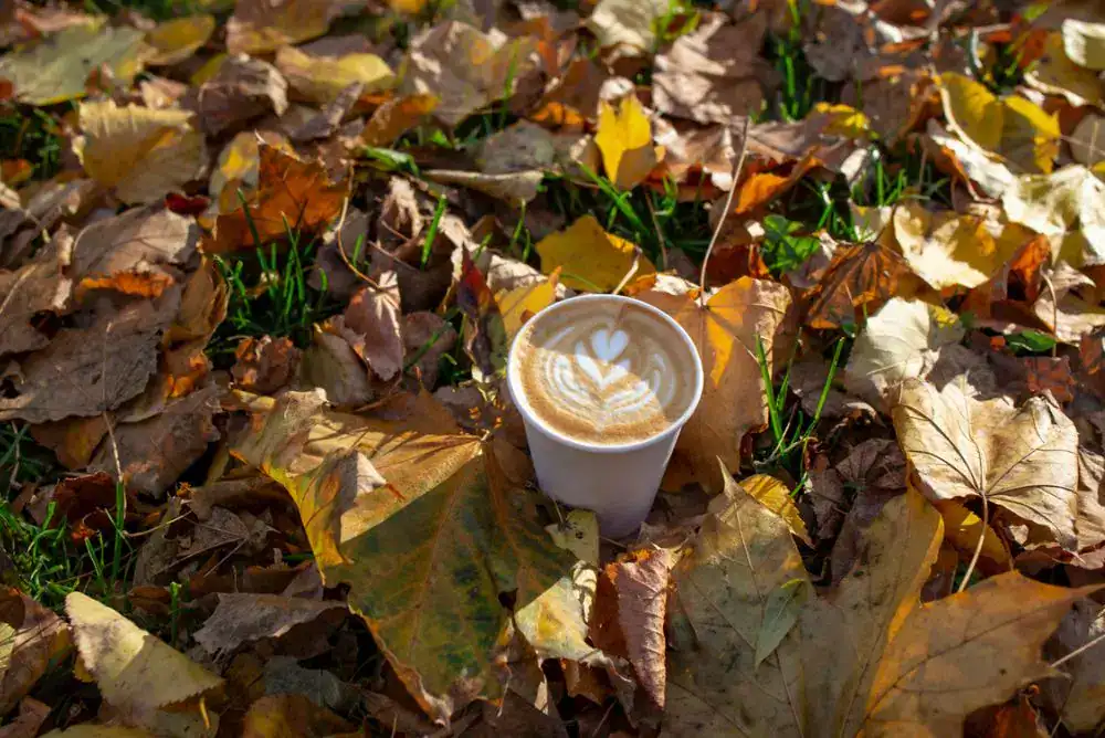 Pumpkin Spice Latte surrounded by leaves

