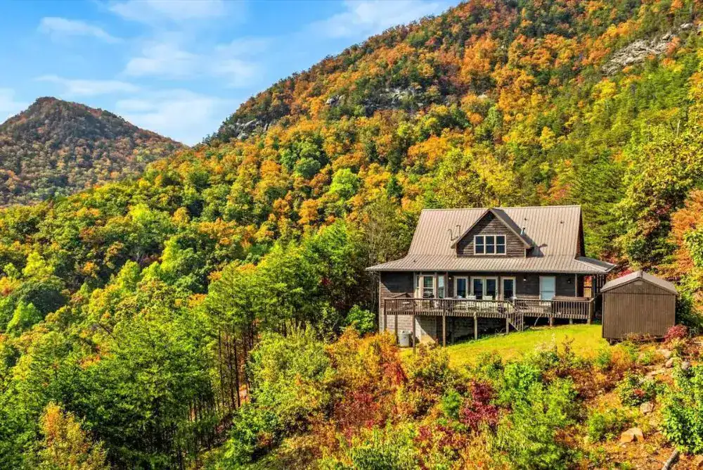 Raccoon Ridge rental —surrounded by trees, perfect for a peaceful mountain stay.
