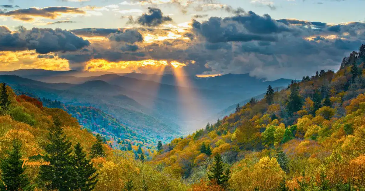 Colorful fall foliage covering the mountain ridges near Townsend, Tennessee.