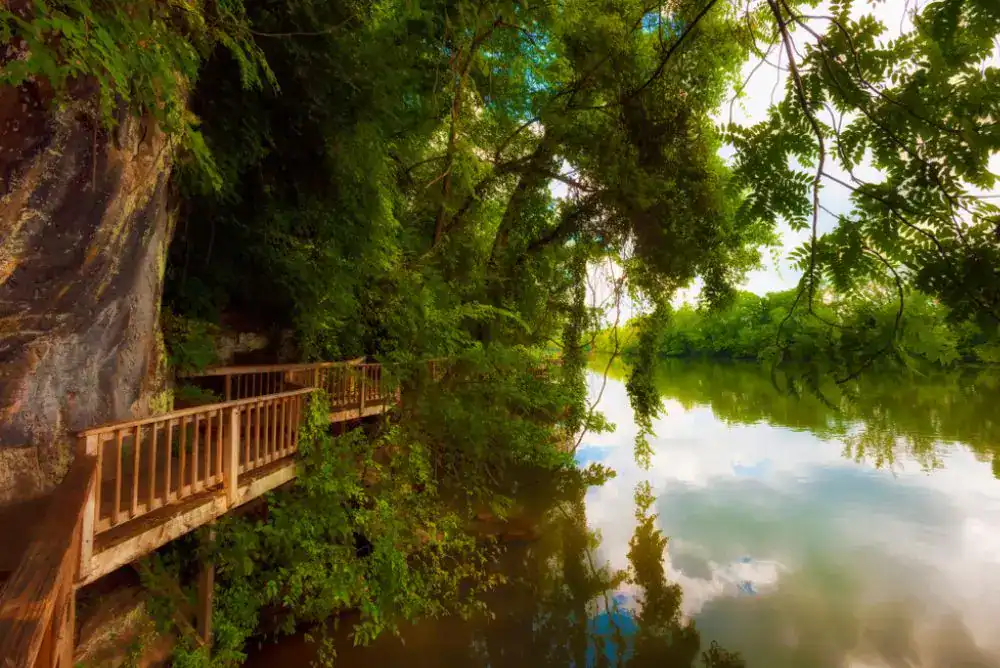 Things to do in Knoxville, TN – walking trail along the river at Ijams Nature Center