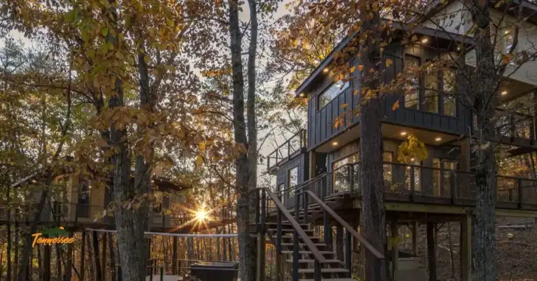 Skywalk Treehouse in the Smoky Mountains - a unique and luxury treehouse rental in the Smokies.