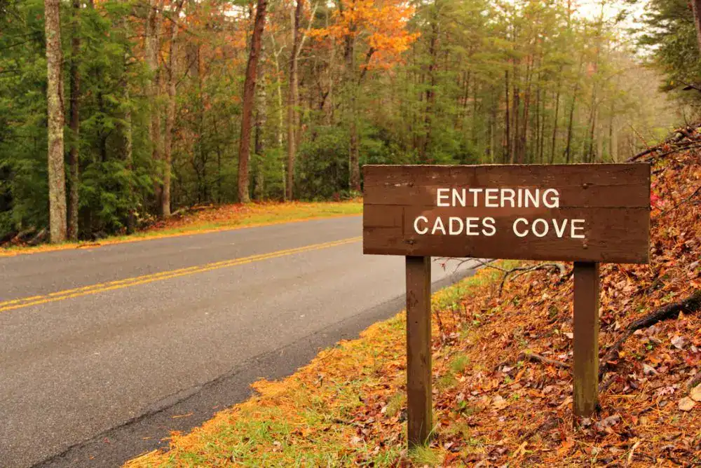Entering Cades Cove sign along the road surrounded by fall trees in the Great Smoky Mountains.