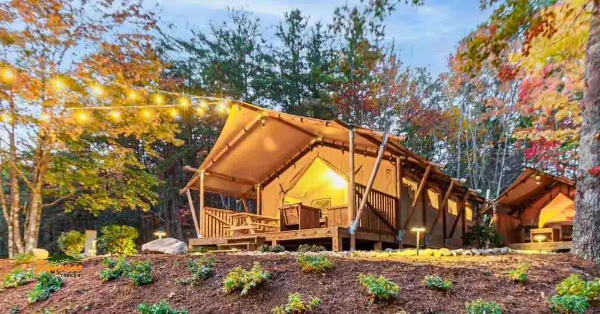 Fall glamping in the Smoky Mountains at Rustic Bearadise, with a canvas tent glowing under string lights and fall color all around