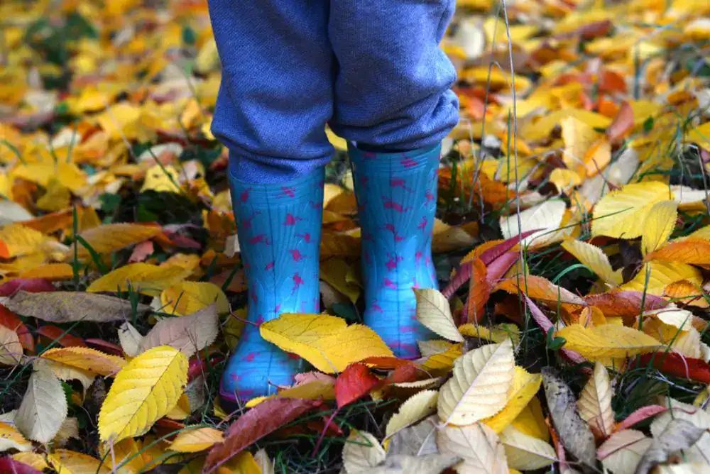 A "Little Trekker" standing in crunchy fall leaves during a family scavenger hunt, enjoying outdoor adventures.