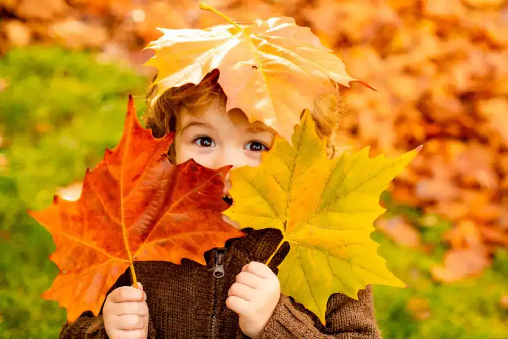 Child holding big colorful fall leaves during a Fall Scavenger Hunt for Little Trekkers, enjoying outdoor adventures and fall family fun in Tennessee.