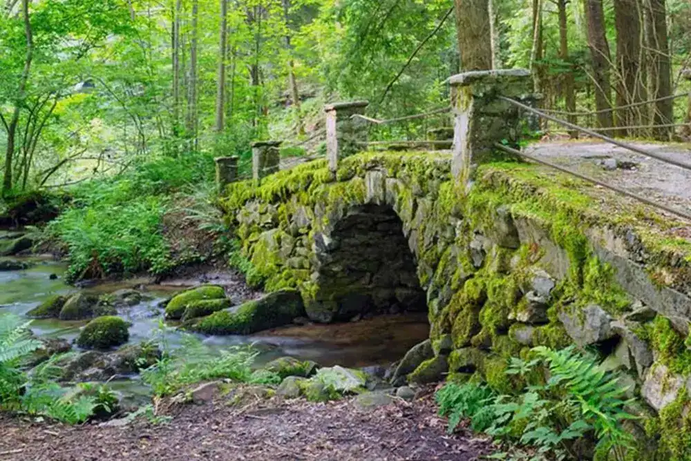 Stone bridge in the Smoky Mountains — scenic stop during the Elkmont Pink Jeep Tour, perfect for photos and history lovers.