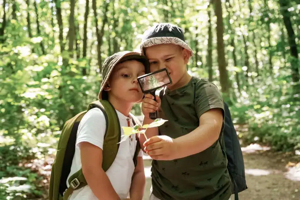 Two boys looking through a magnifying glass at a leaf while exploring nature outside.
