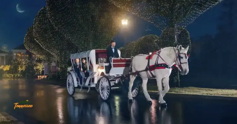 Horse-drawn carriage ride at Christmas at Gaylord Opryland Hotel in Nashville TN