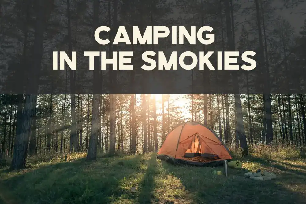 Camping in the Smokies at a forest campsite with a tent