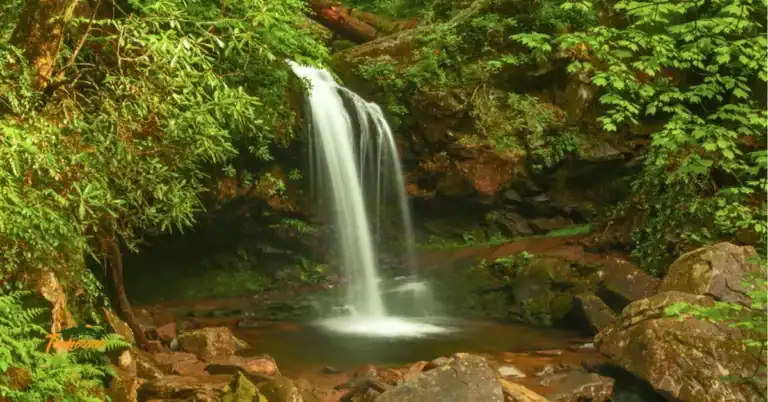 Beautiful waterfall in the Smokies - Grotto Falls.