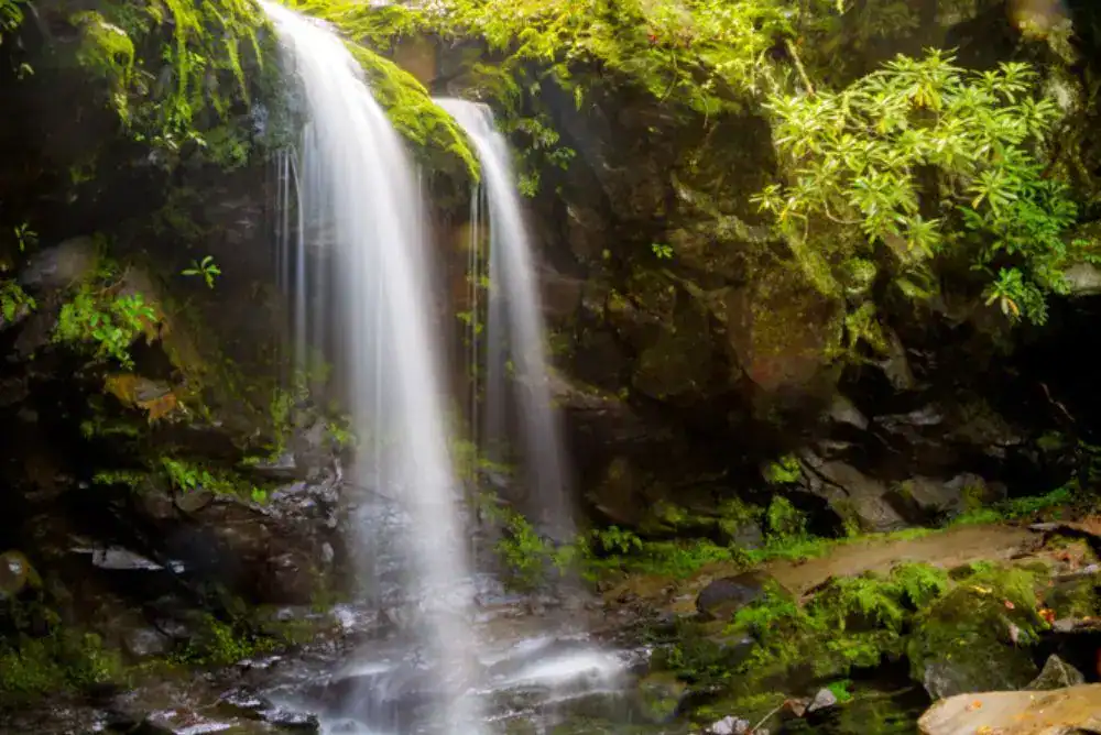 Grotto Falls in the Smoky Mountains.  Unique hike to take to walk behind this waterfall. 