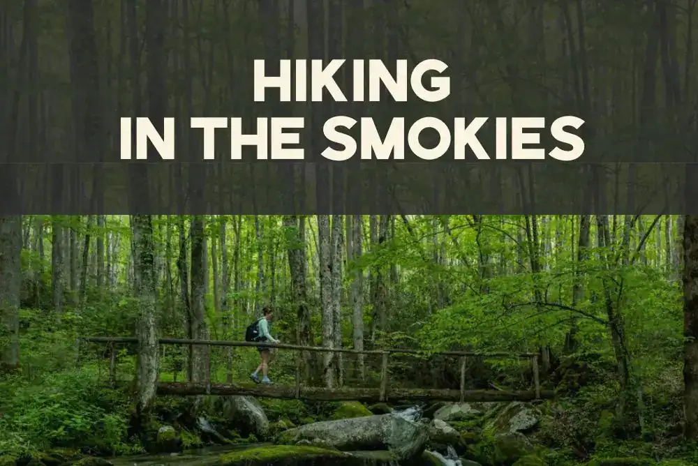 Hiking trail in the Smokies for a camping and hiking in the Smokies guide