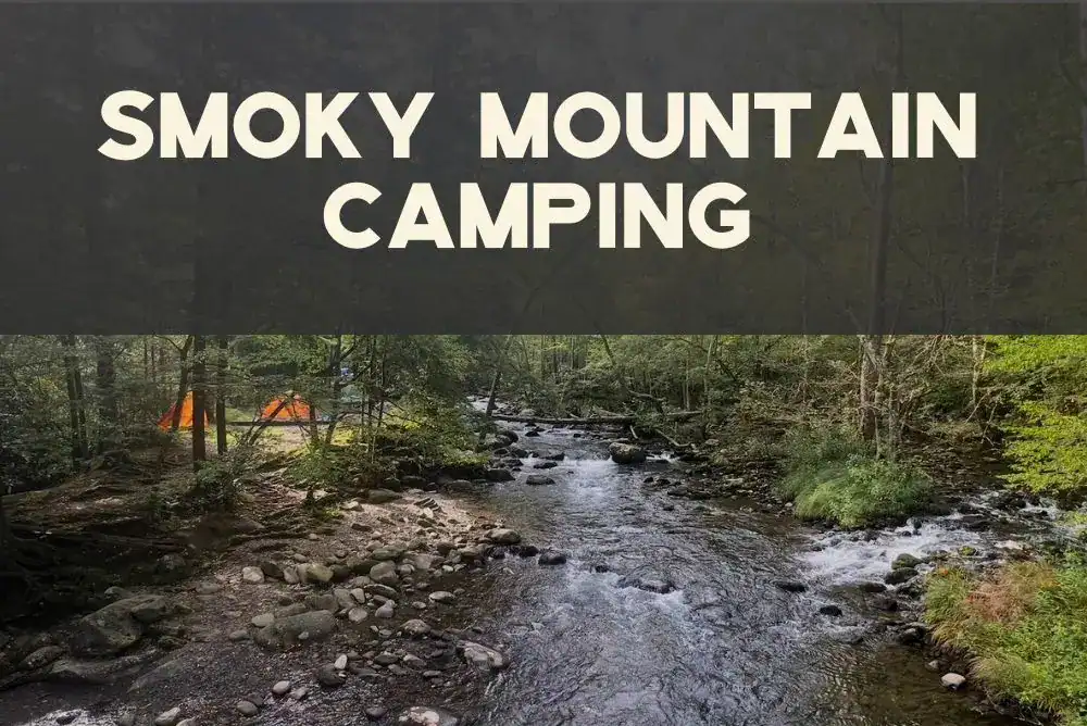 Smoky Mountain camping beside a rocky creek with tents tucked into a forest campsite - perfect for Tennessee camping trip