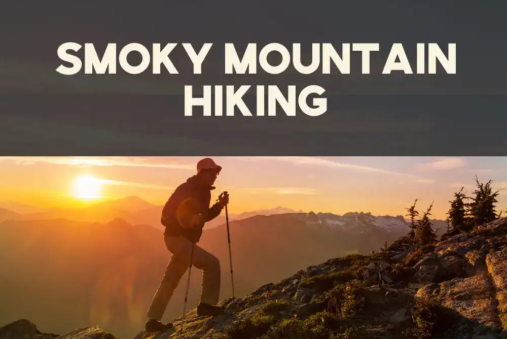 Hiker on a scenic Smoky Mountain trail at sunrise in Great Smoky Mountains National Park