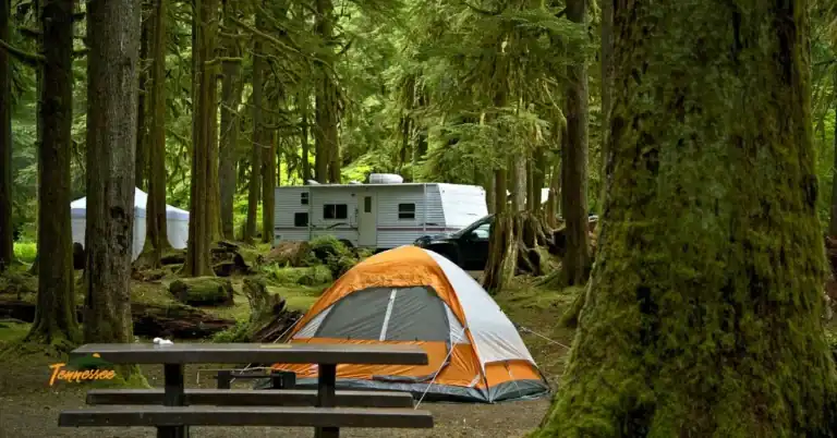 Camping in Townsend TN - Plan your trip with these tips