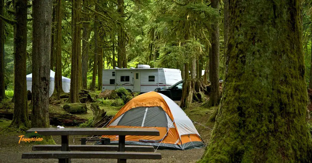 Camping in Townsend TN - Plan your trip with these tips