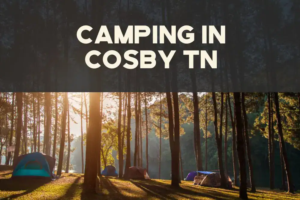 Cosby TN camping near Great Smoky Mountains National Park.