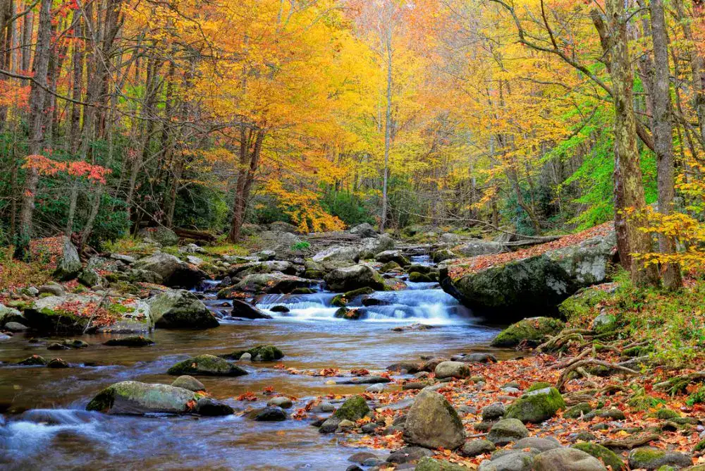 Smoky Mountain hiking trail view in autumn with colorful foliage and water