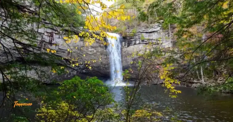 Foster Falls in TN -