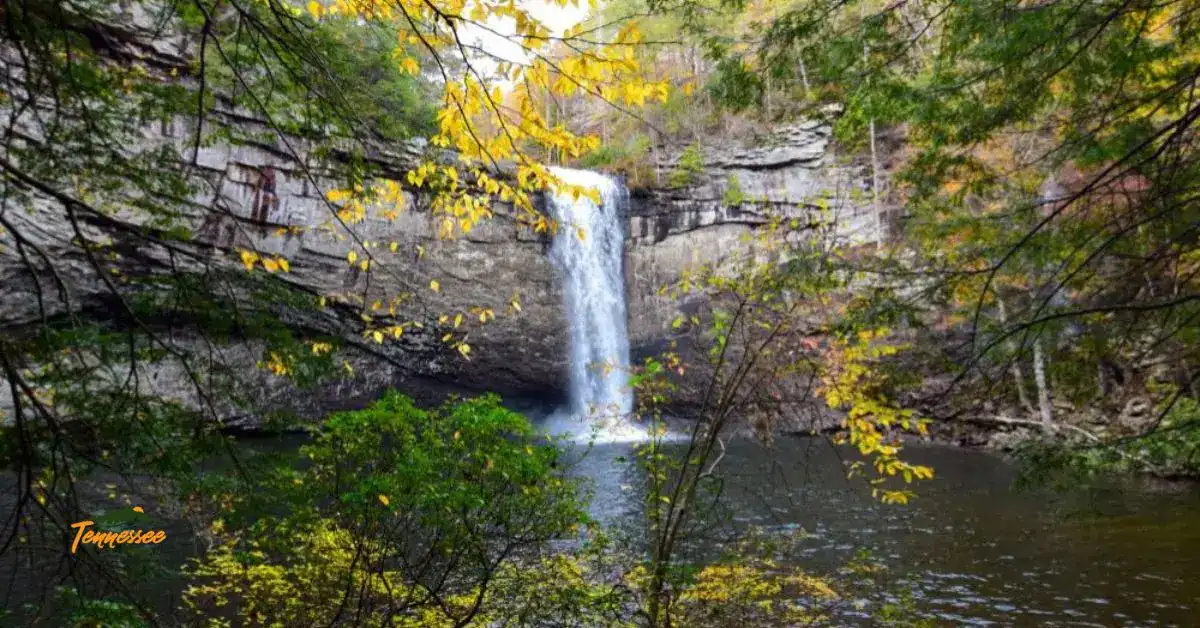 Foster Falls in TN -