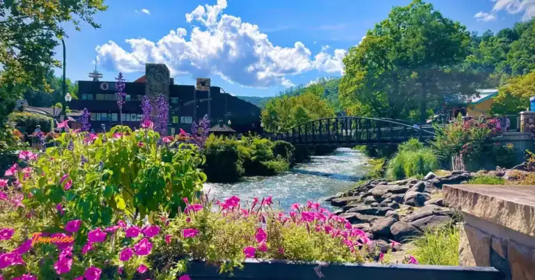 Camping in Gatlinburg TN with scenic mountain views and river scenery near Great Smoky Mountains National Park.