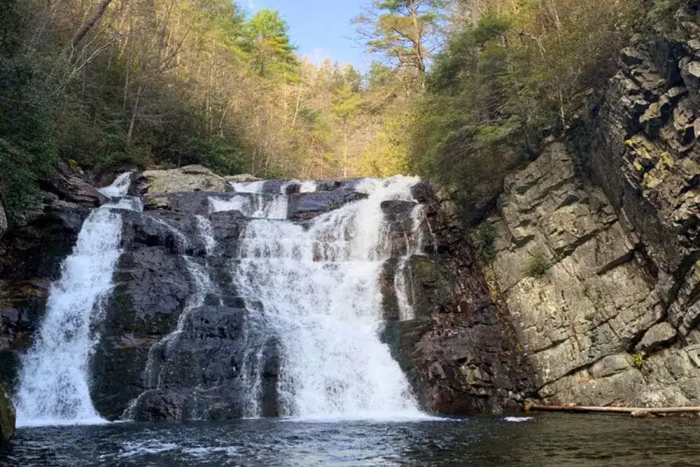 Laurel Fork near Roan Mountain 