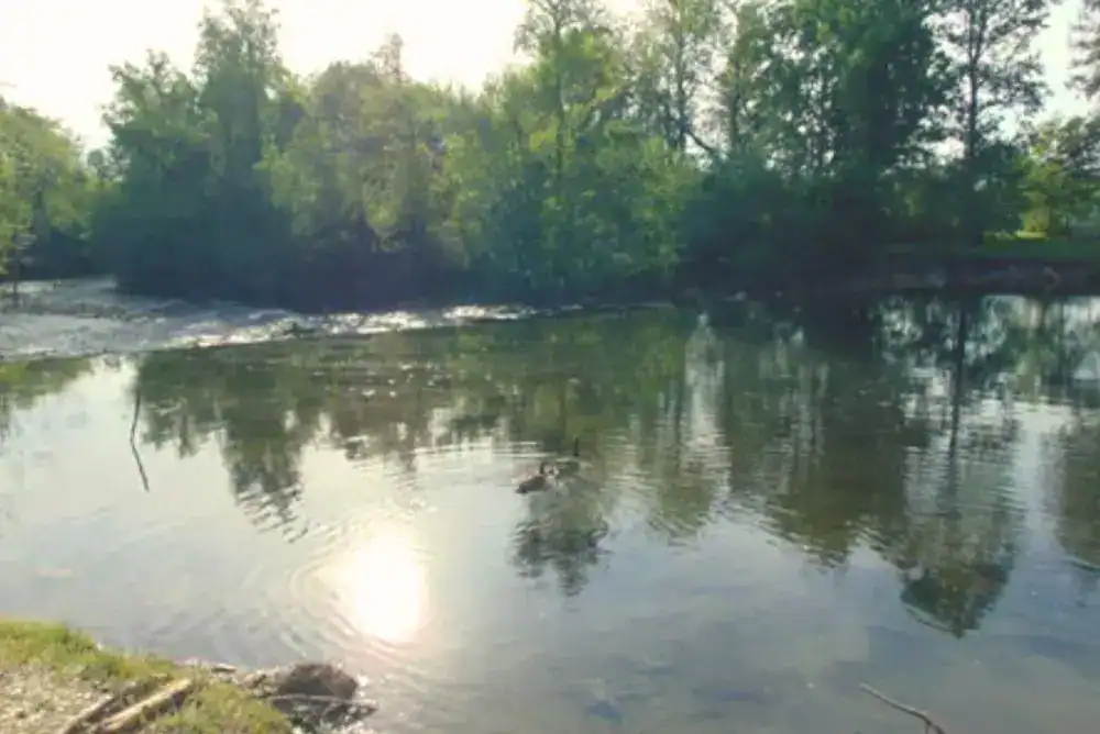 Quiet campground in the Smoky Mountains near the Little River at Riverstone Campground in Townsend, Tennessee