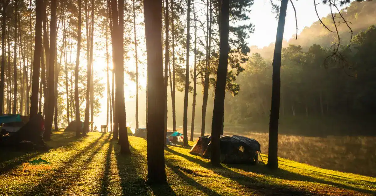 quiet campground in the Smoky Mountains