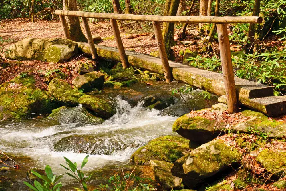 Footbridge over a creek on a Smoky Mountain hiking trail