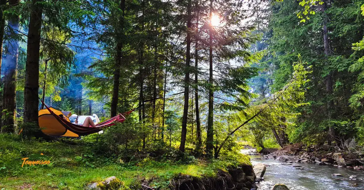 Mountain Camping at a tent friendly campsite - perfect for exporing and enjoying nature.