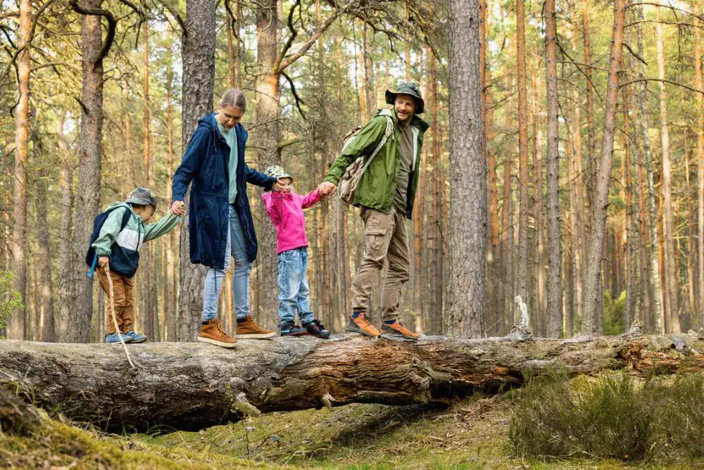 Family on a trail walking on a fallen tree. 