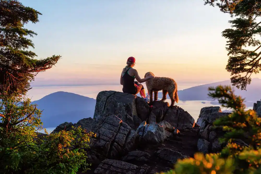 Hiker and dog at scenic overlook in Tennessee State Parks hiking trails