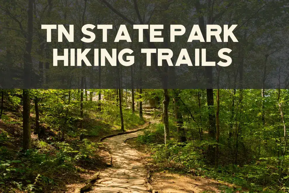 TN State Parks Hiking Trails... beautiful trail to hike in the woods. 