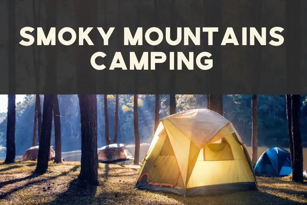 camping with scenic forest campsites and outdoor adventure