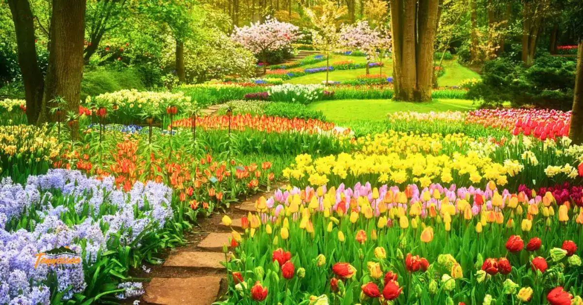 Spring Blooms in Tennessee