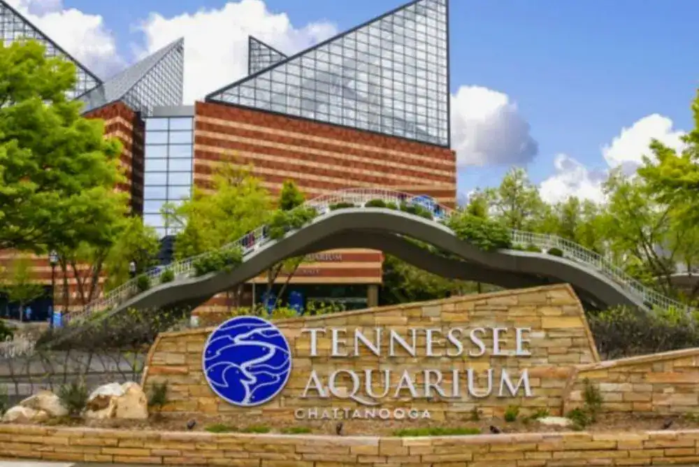 Tennessee Aquarium in Chattanooga TN.