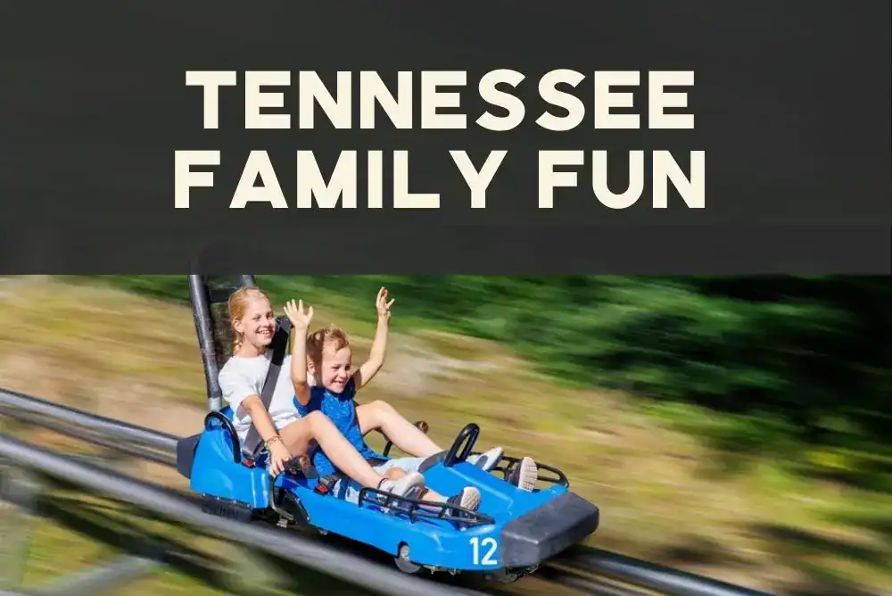 Family laughing together on a mountain coaster ride in the Smokies - ideas for family fun for your visit to Tennessee